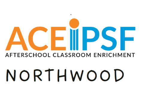 Ace Spring Flyer banner